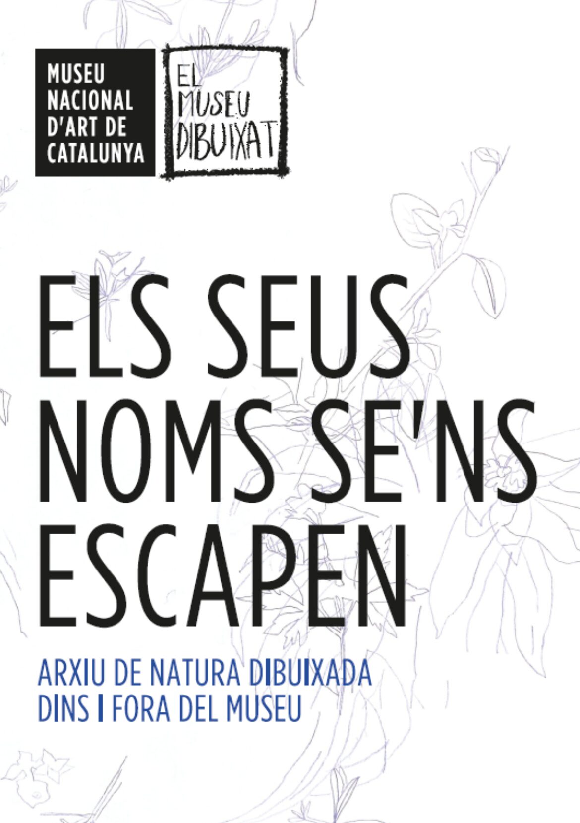 Els seus noms se’ns escapen